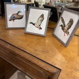 Gray Framed Duck Art Prints - Set of 3 Mallard Lovers!!